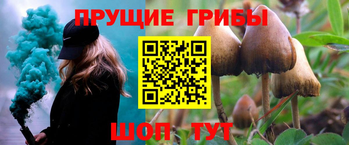 Галлюциногенные грибы прущие грибы Славгород