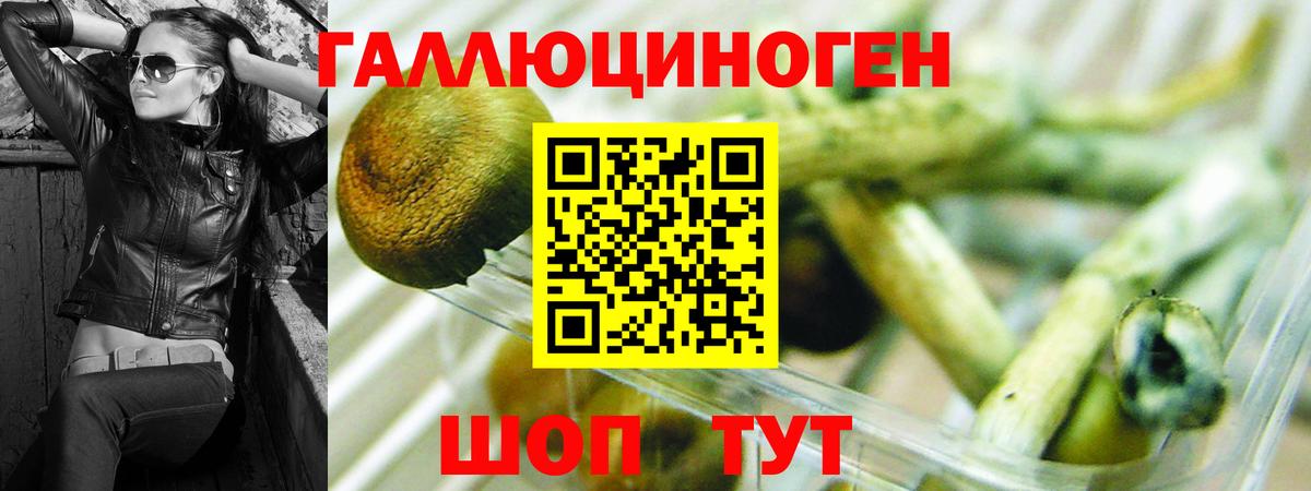 Галлюциногенные грибы прущие грибы  Вход с VPN  Славгород 