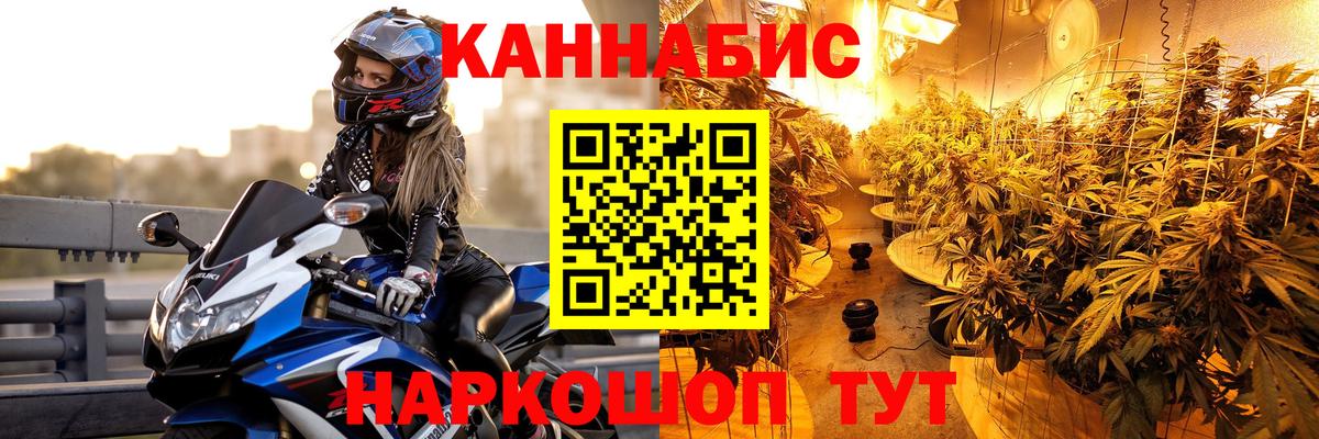 Каннабис планчик Славгород